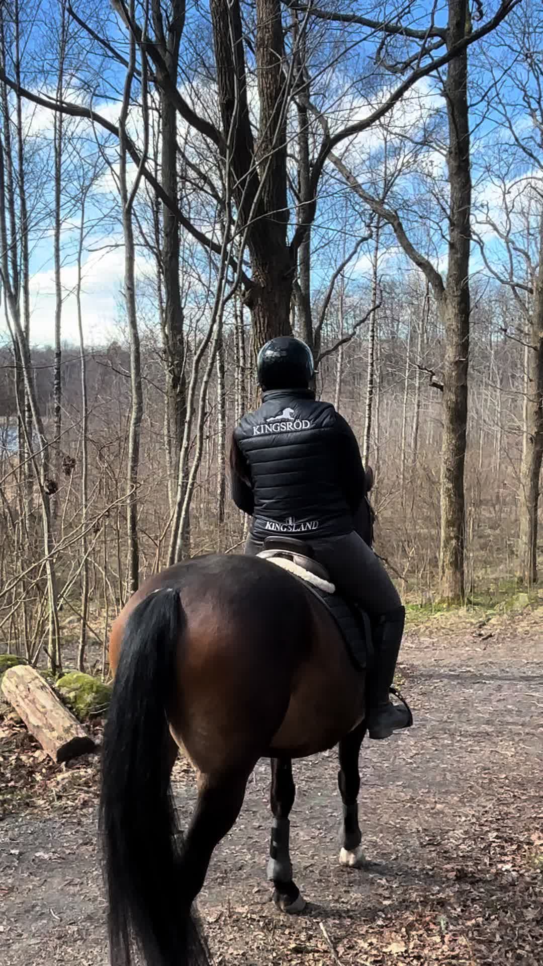 @Tilda Zöller🇸🇪
