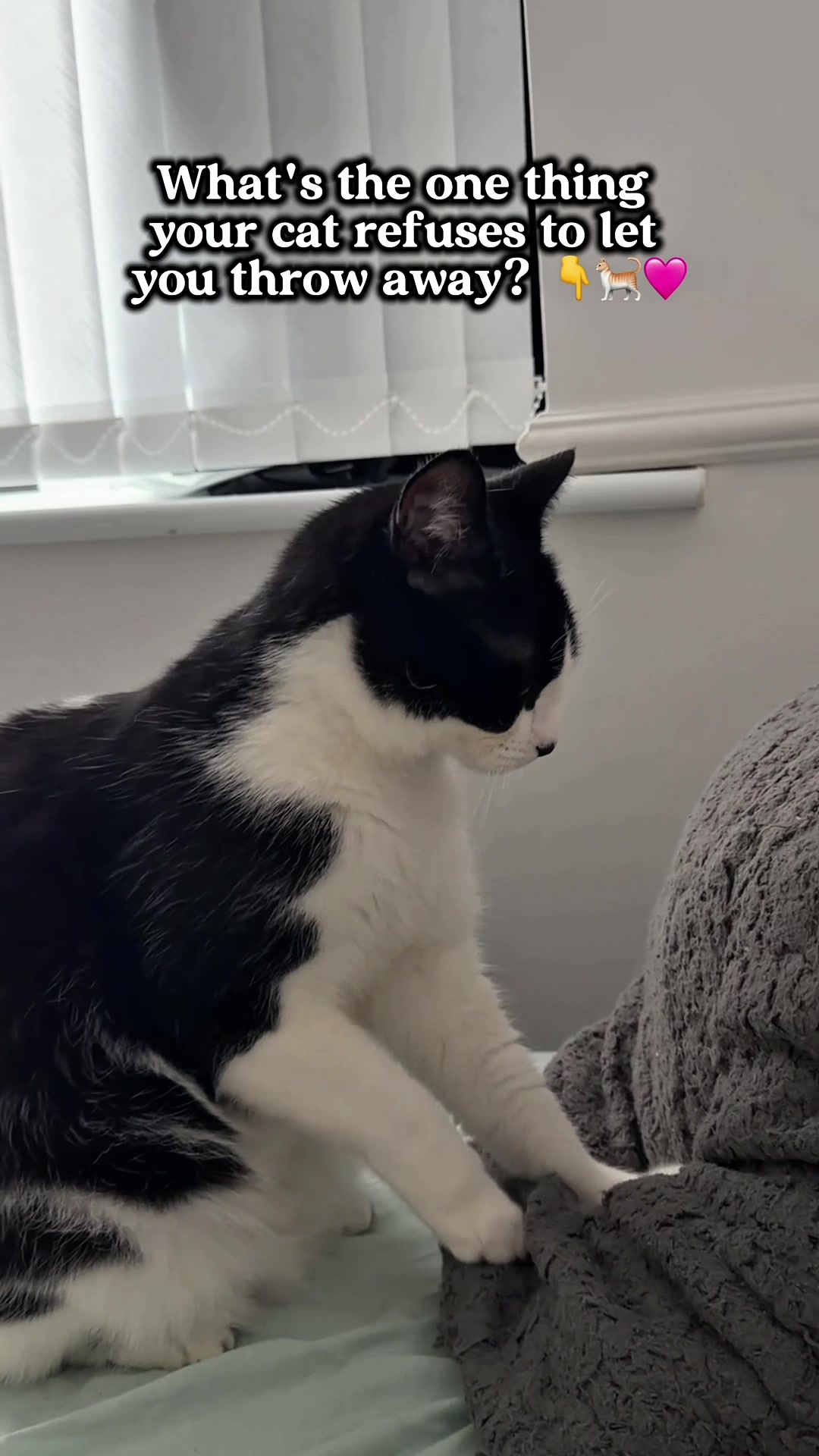 @slavic_cat_mum