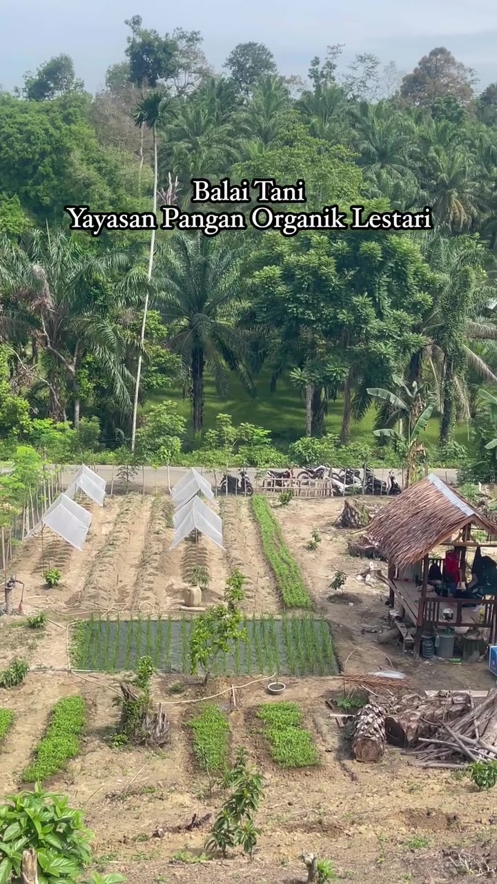 @"PakTani Atim"