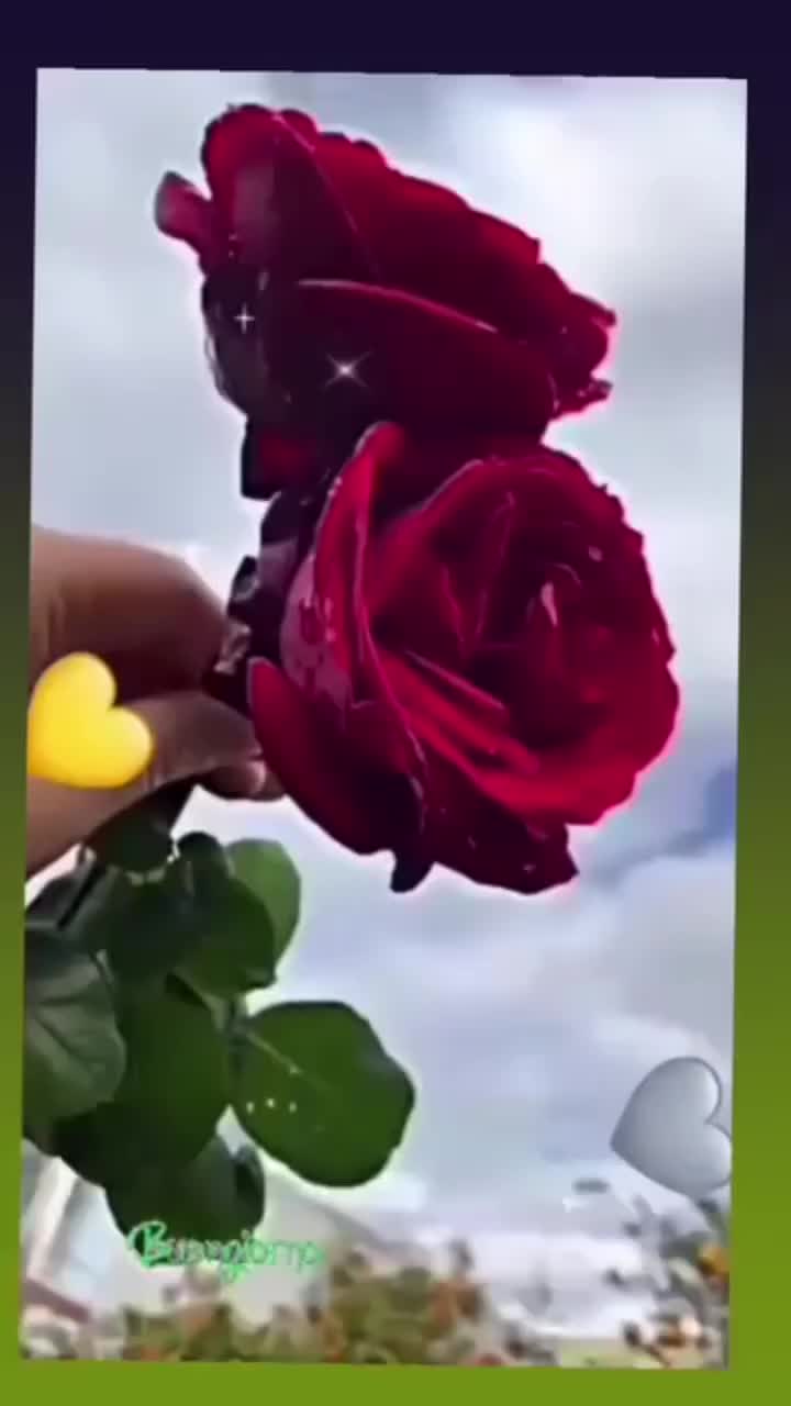 @Giusy