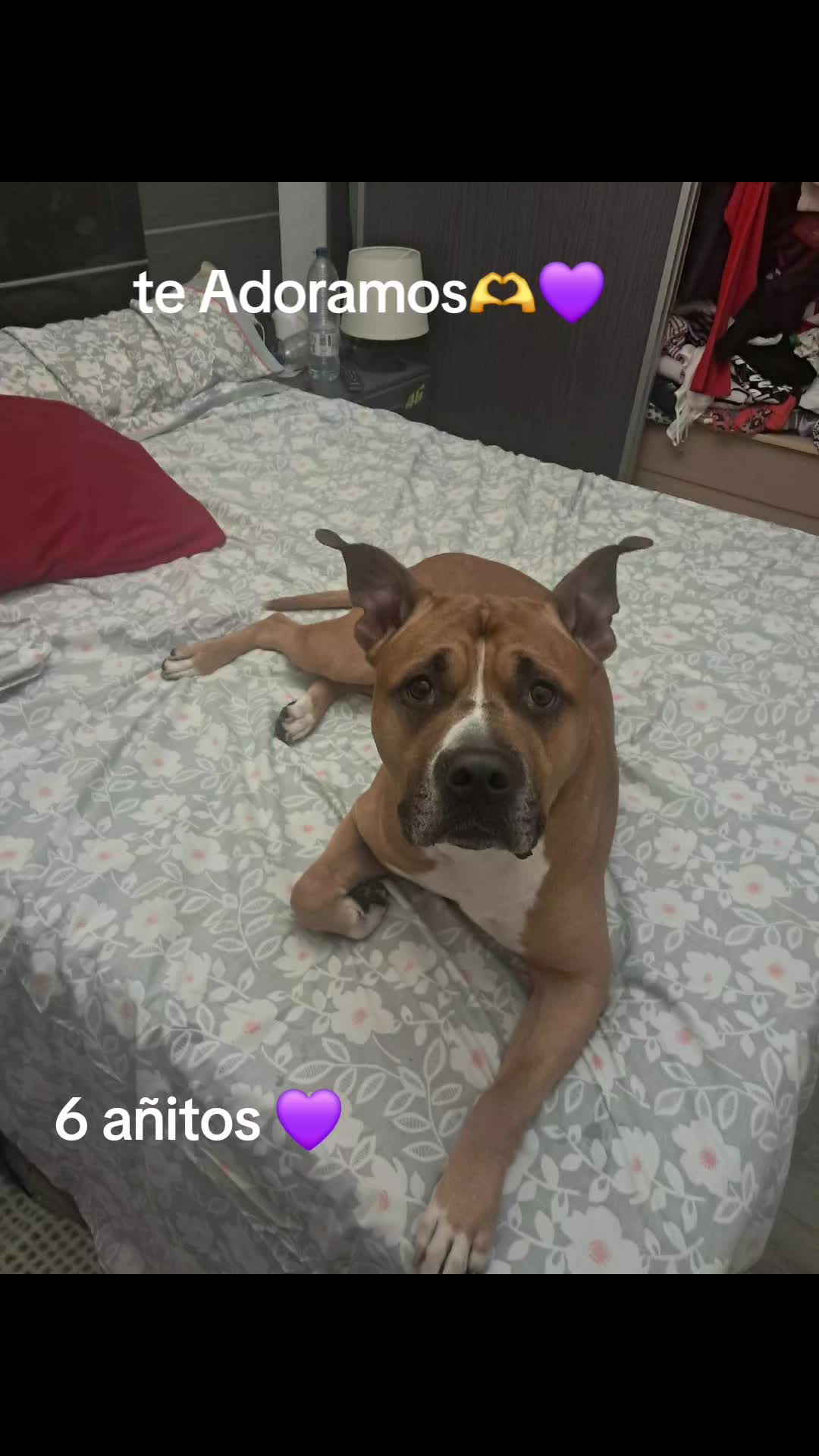 @Naiara Urkiola💜