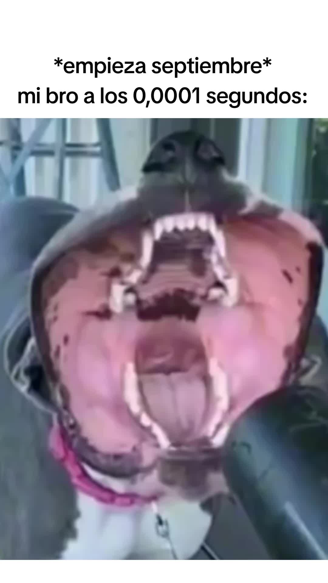 @El_Primo