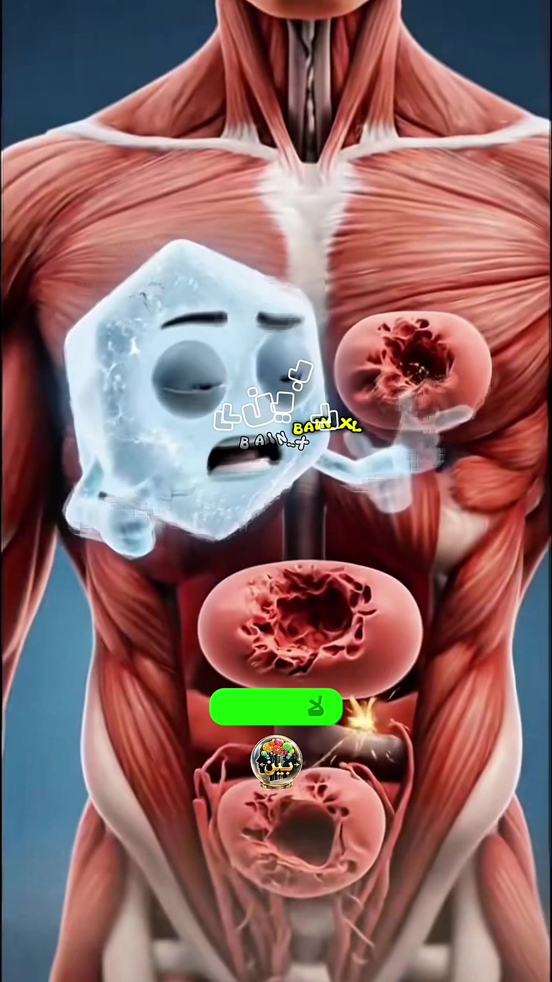 @&laquo;بين&raquo;