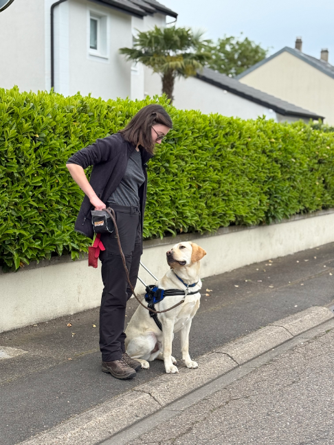 @Chiens Guides de l’Est