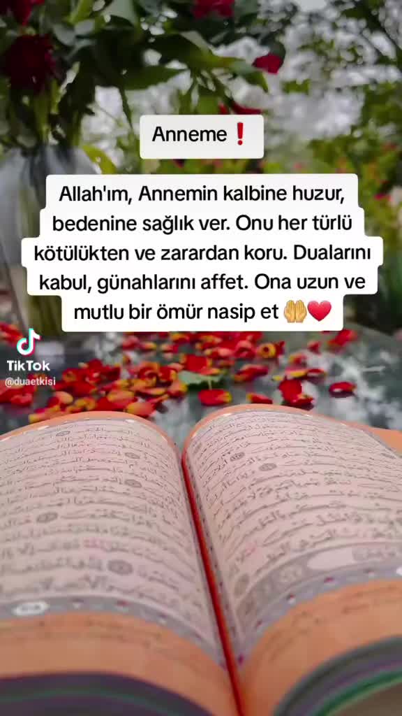 @bnzrdaglii4343_