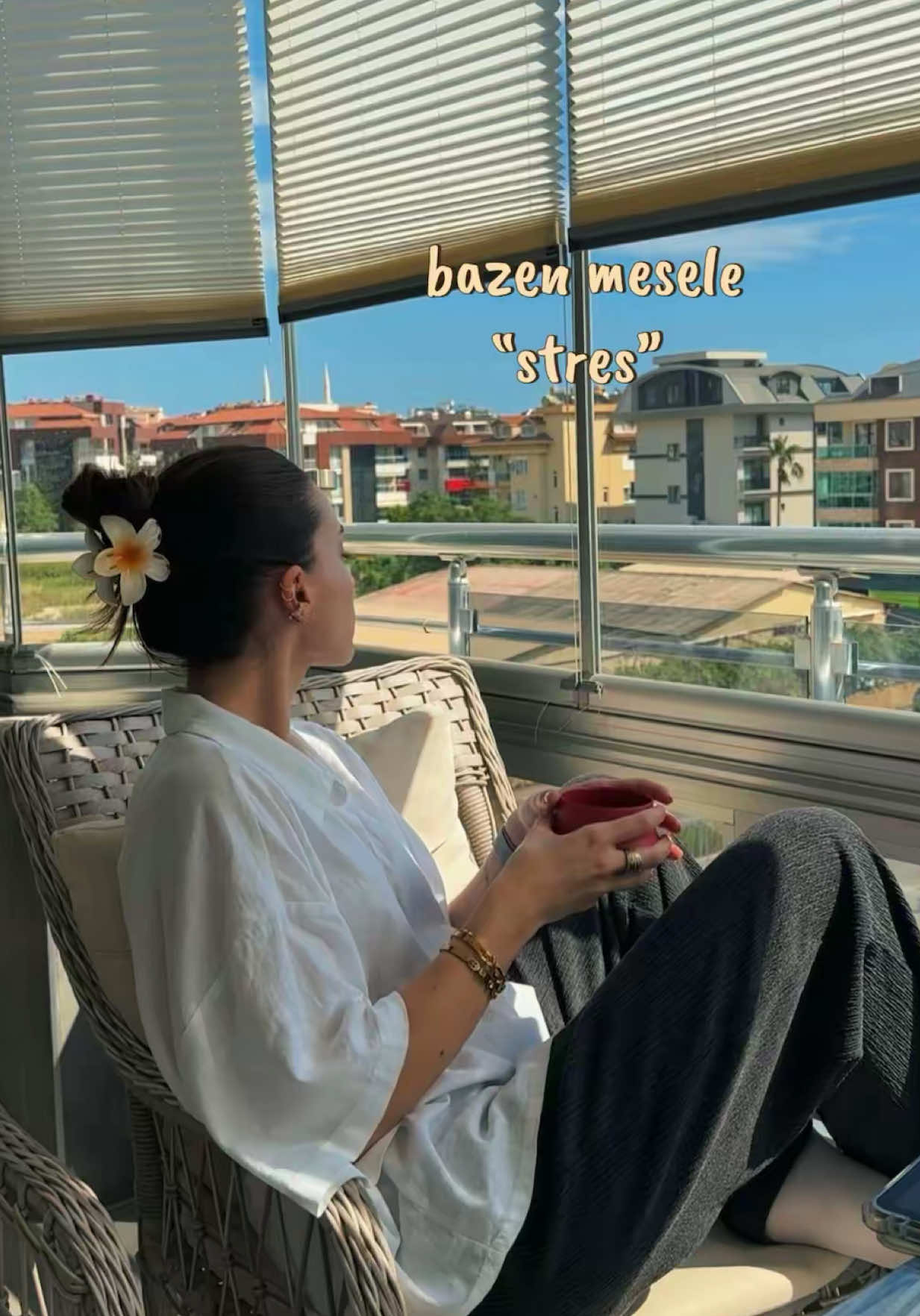 @dytoykutokat