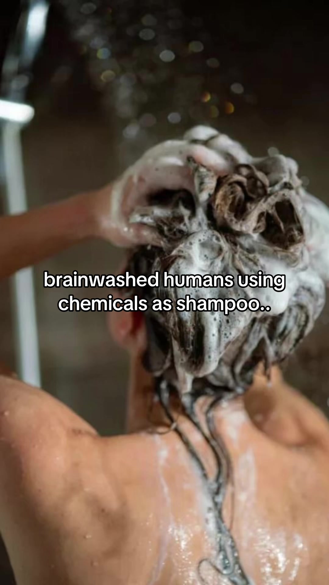 @mazed