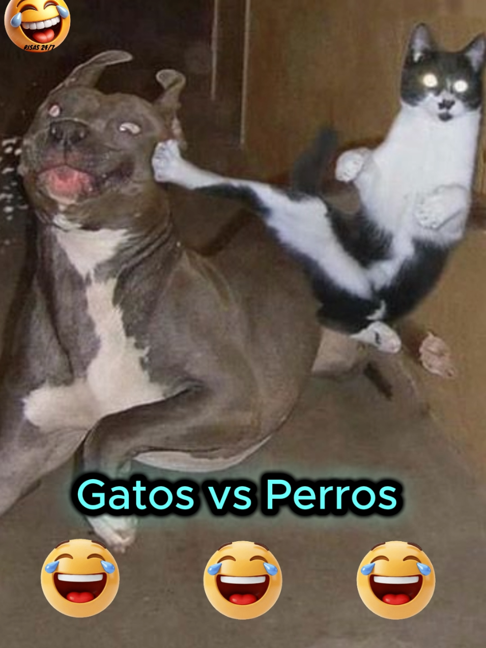 @@Risas24/7