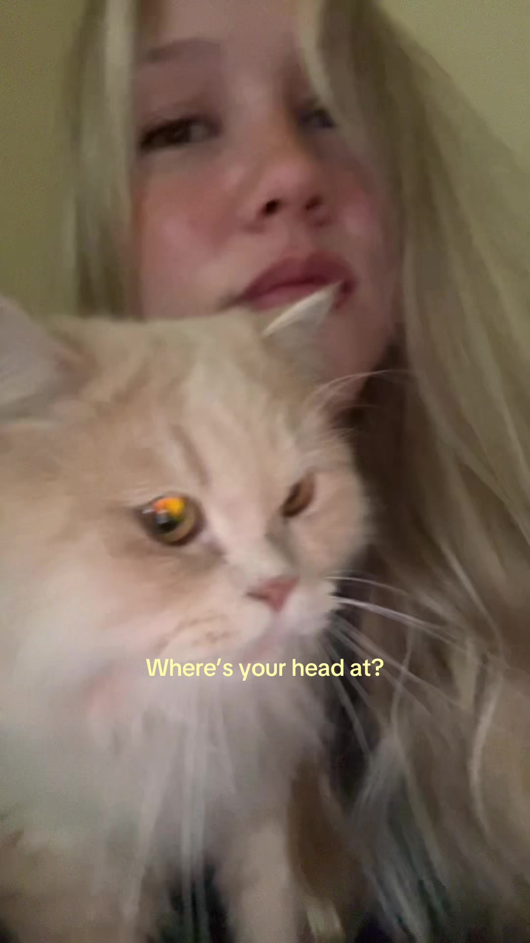 @tessa
