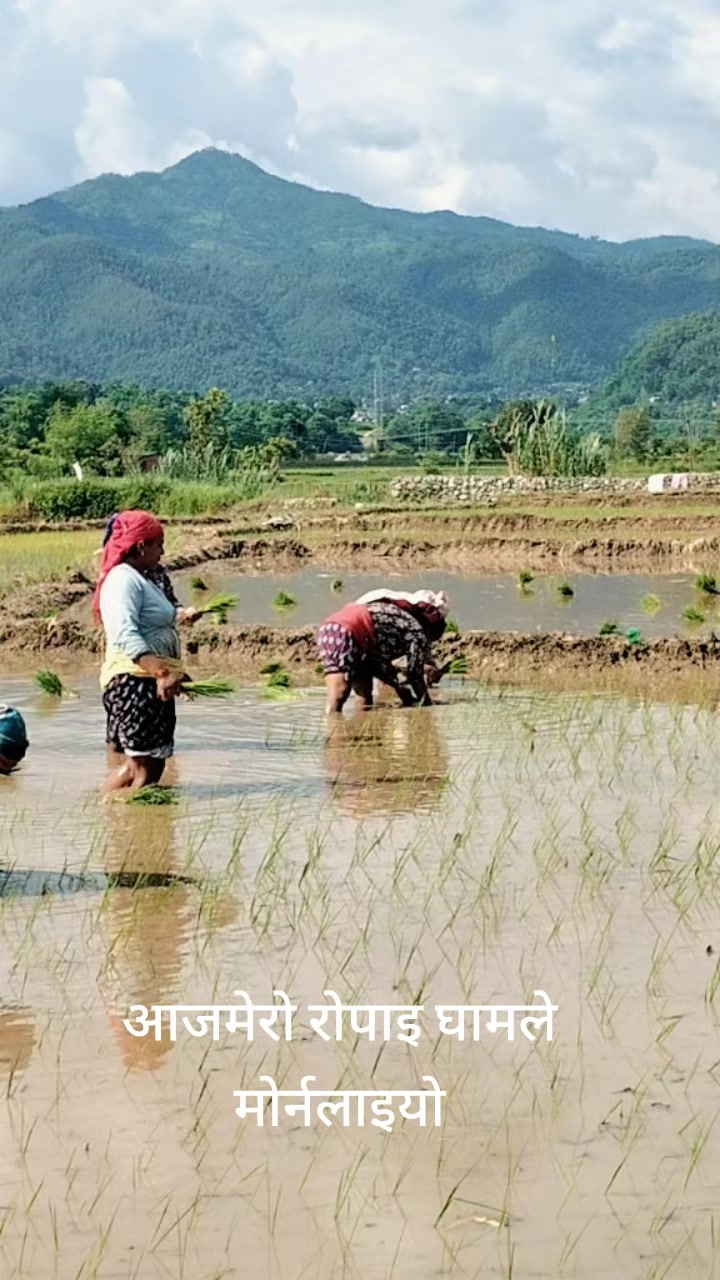 @sujal sunar
