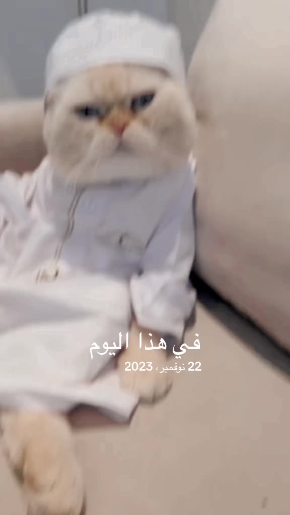 @Ibrahim😻Marius