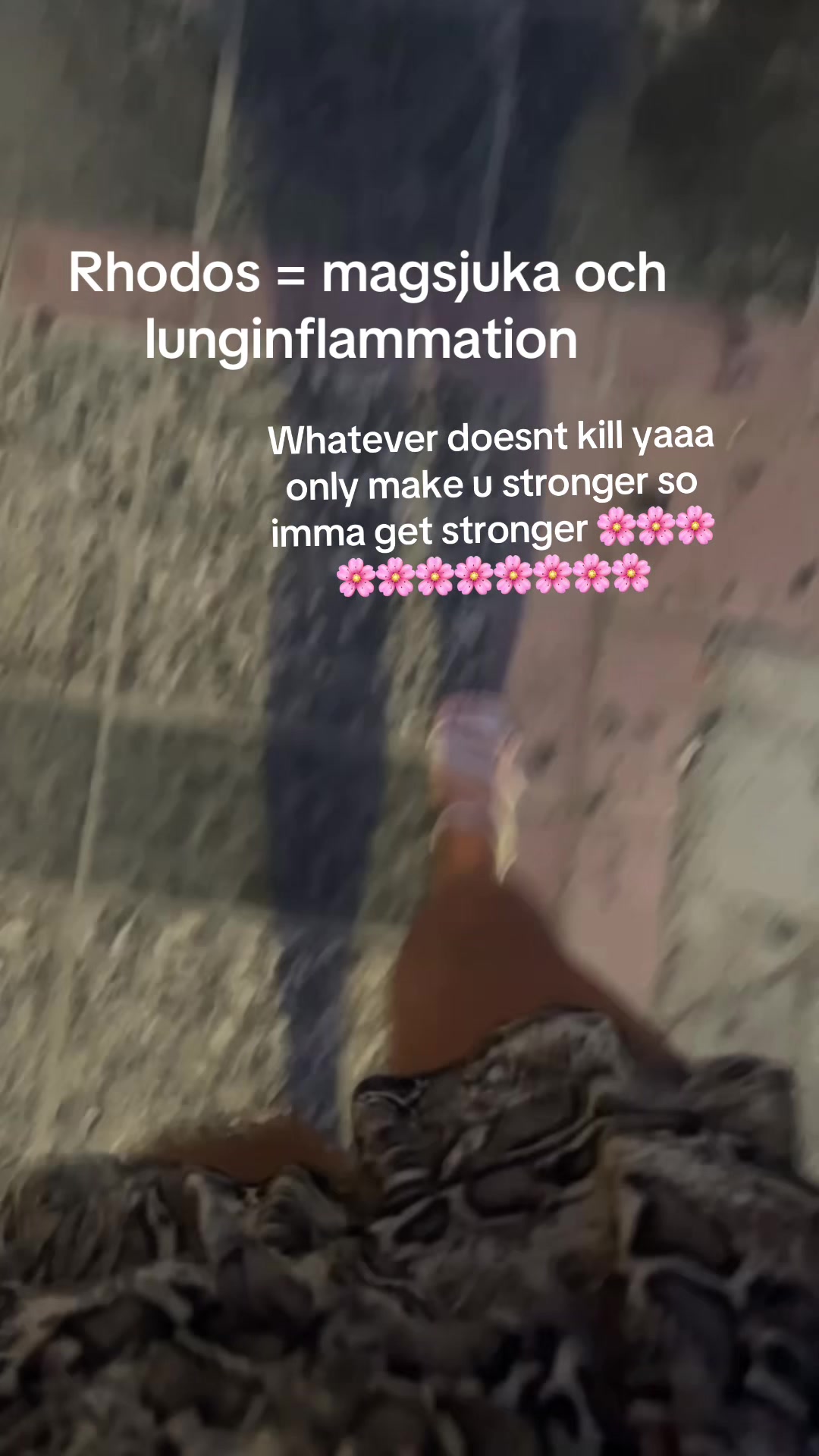 @Amanda