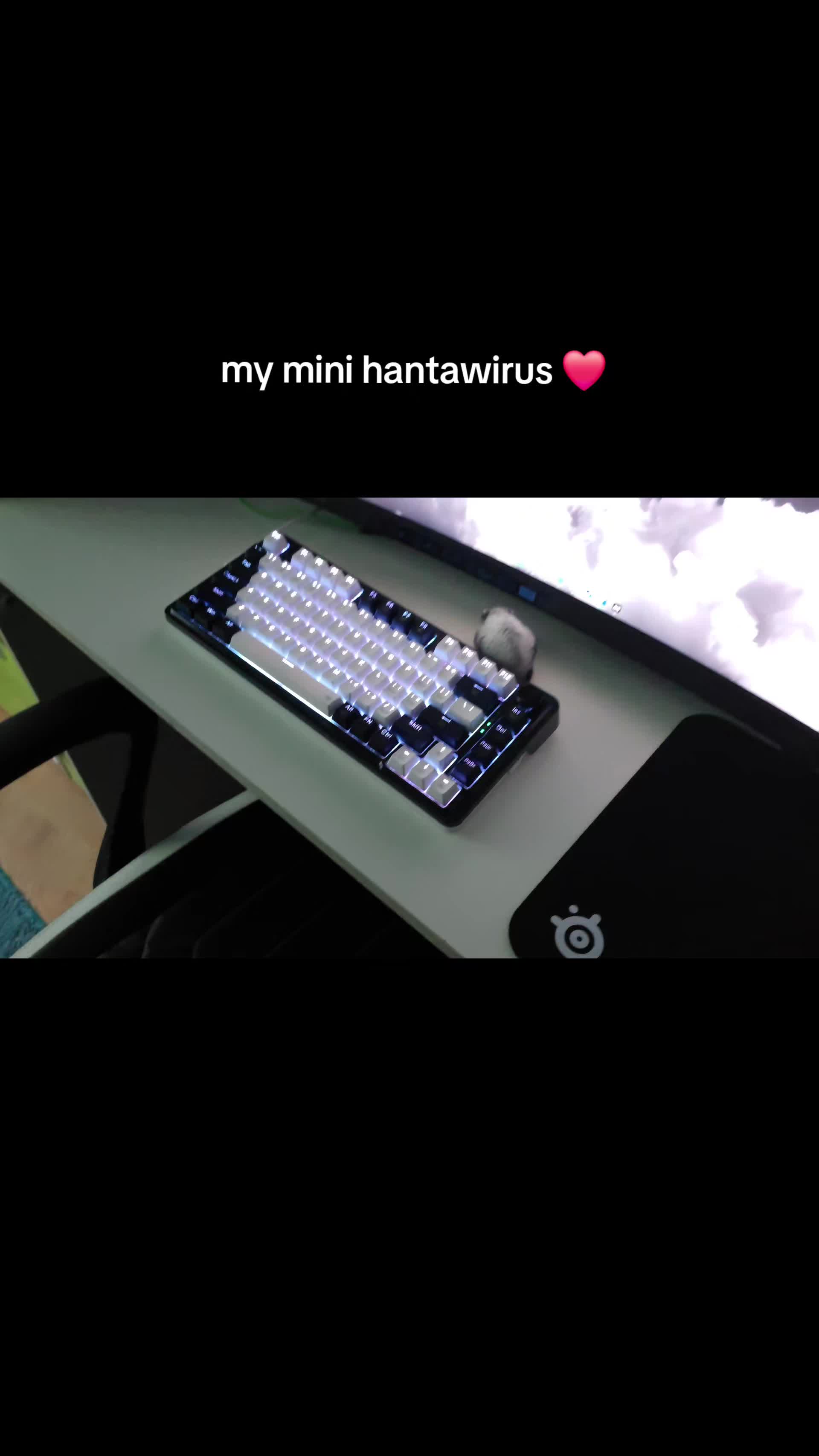 @々𝐩𝐢𝐱𝐞𝐥𝐨𝐯𝐲