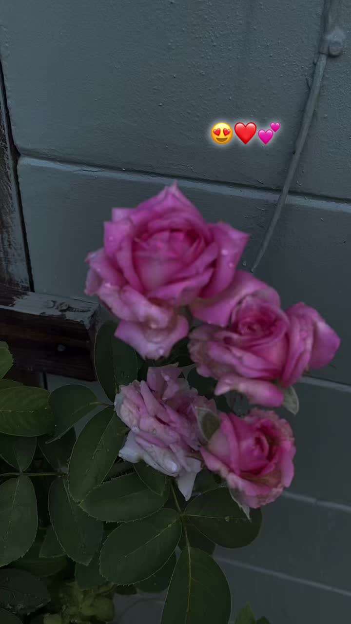 @💕Maricruz🍀🦋