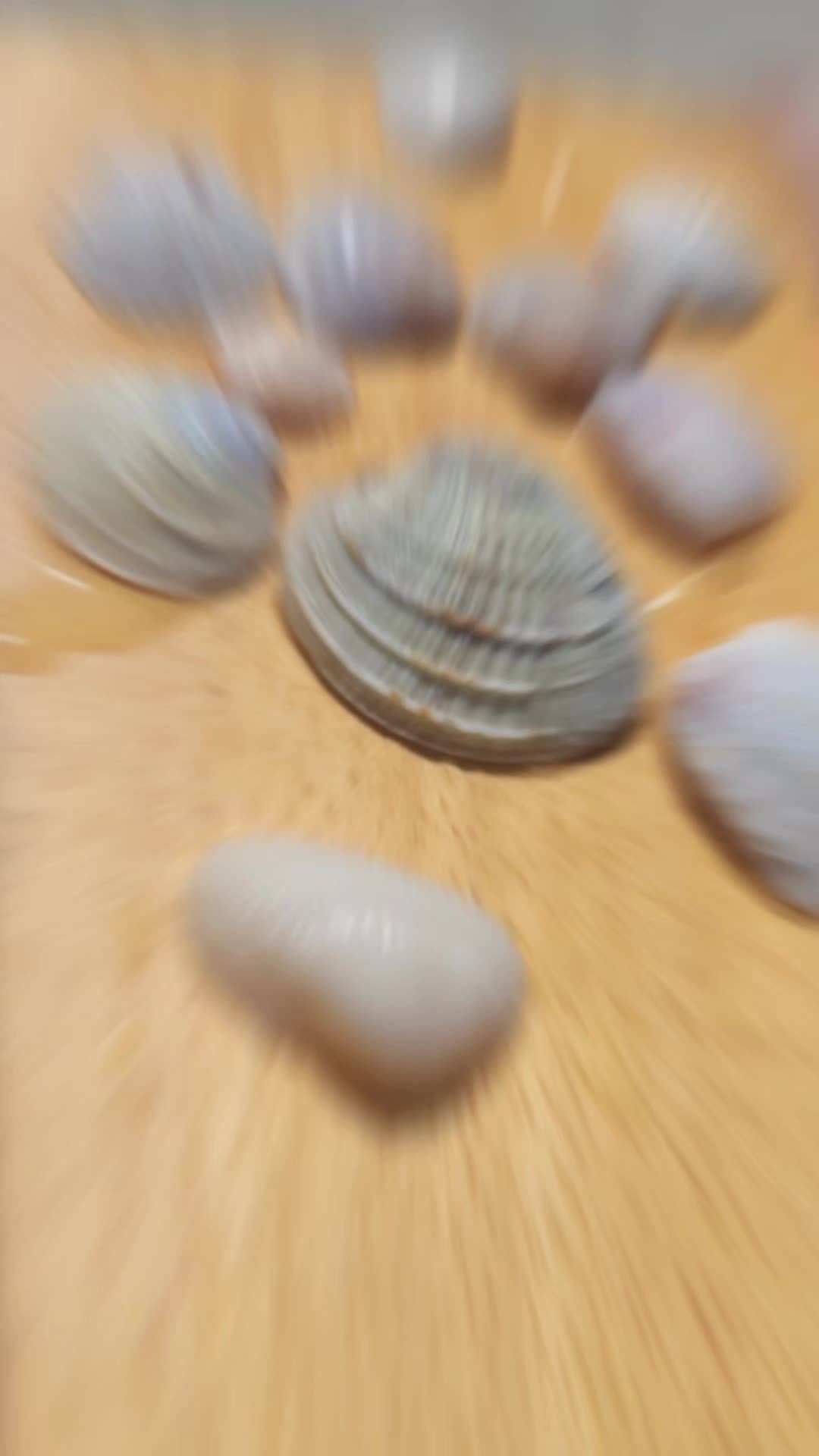 @jodi