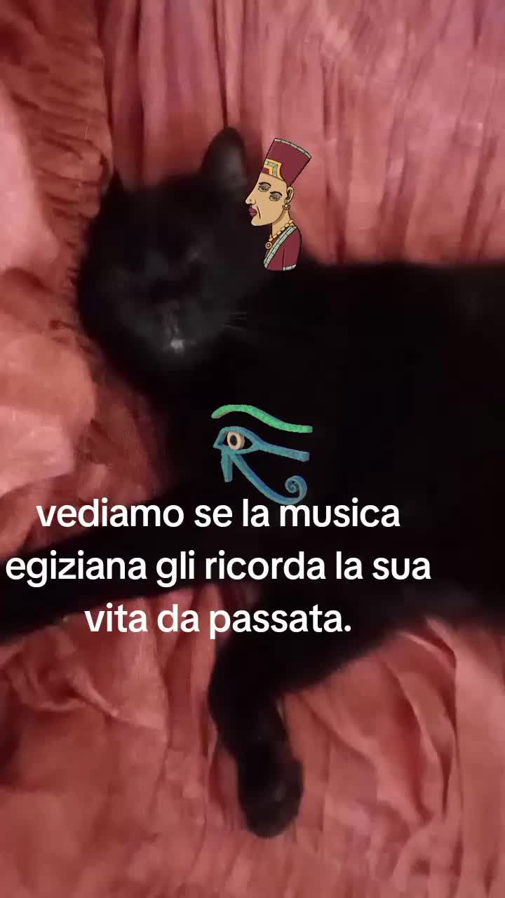 @Dolores D'angelo