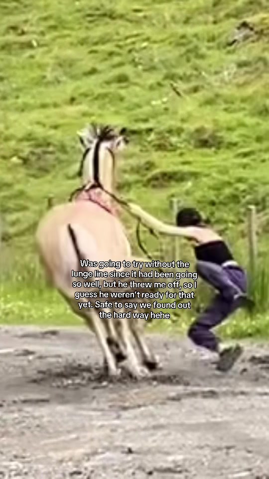@<3
