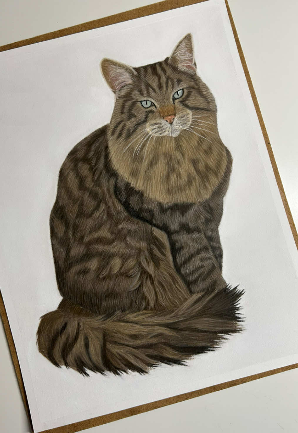 @Pet portraits
