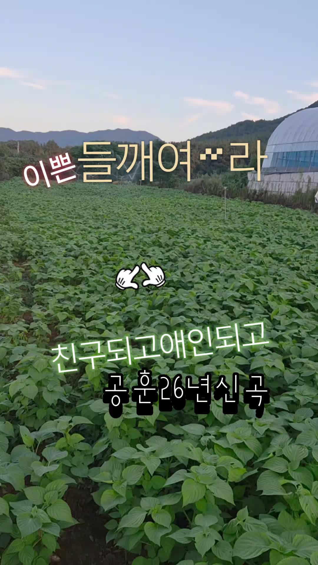 @금은희