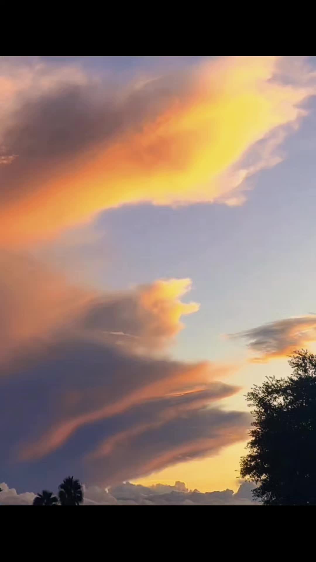 @FloridaLiving