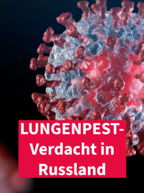 @Frankfurter Allgemeine
