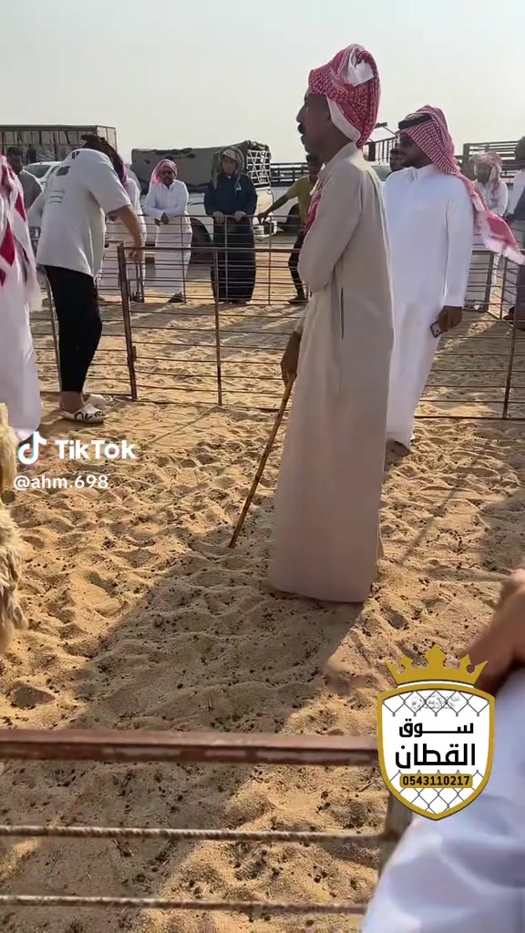 @mohamed_ksa0