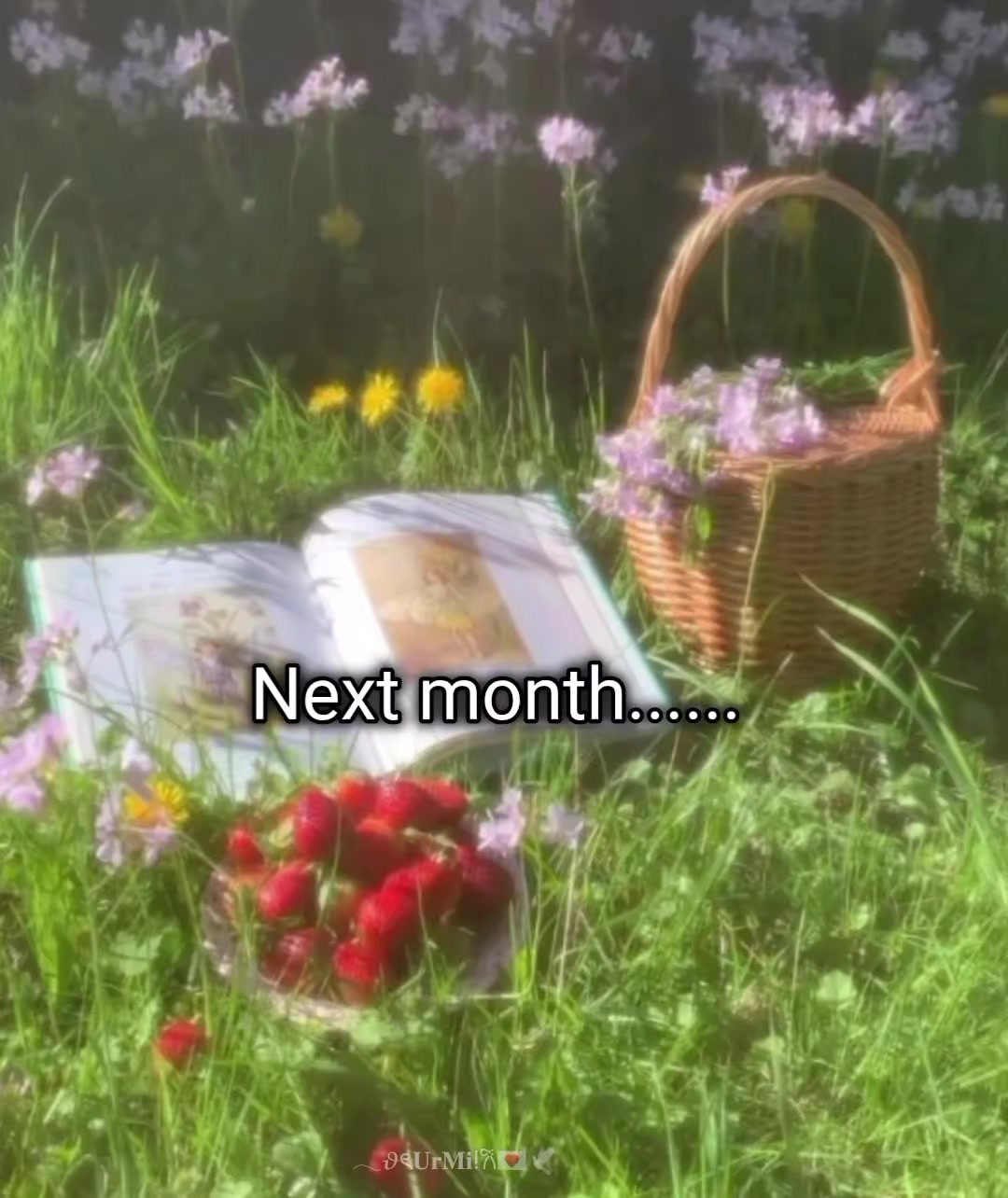 @𓂃𝜗ৎ𝐔𝐫𝐌𝐢!𐙚💌🕊️