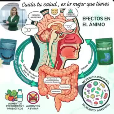 @Paula Brito