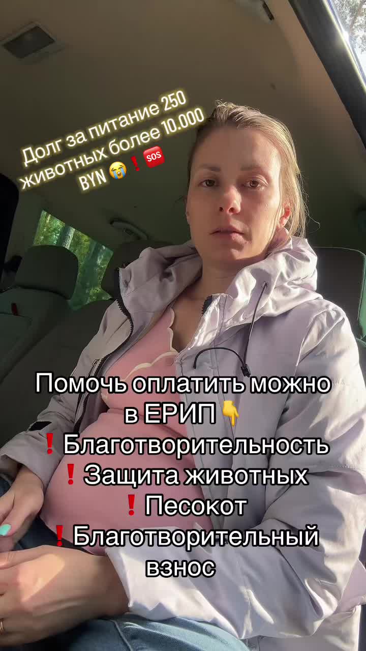 @Директор «Песокот»250🐈🐶