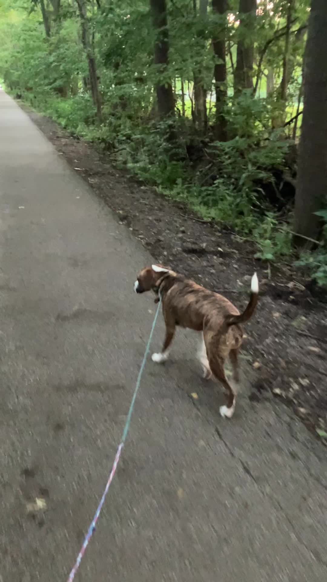 @Hikingwithstanley