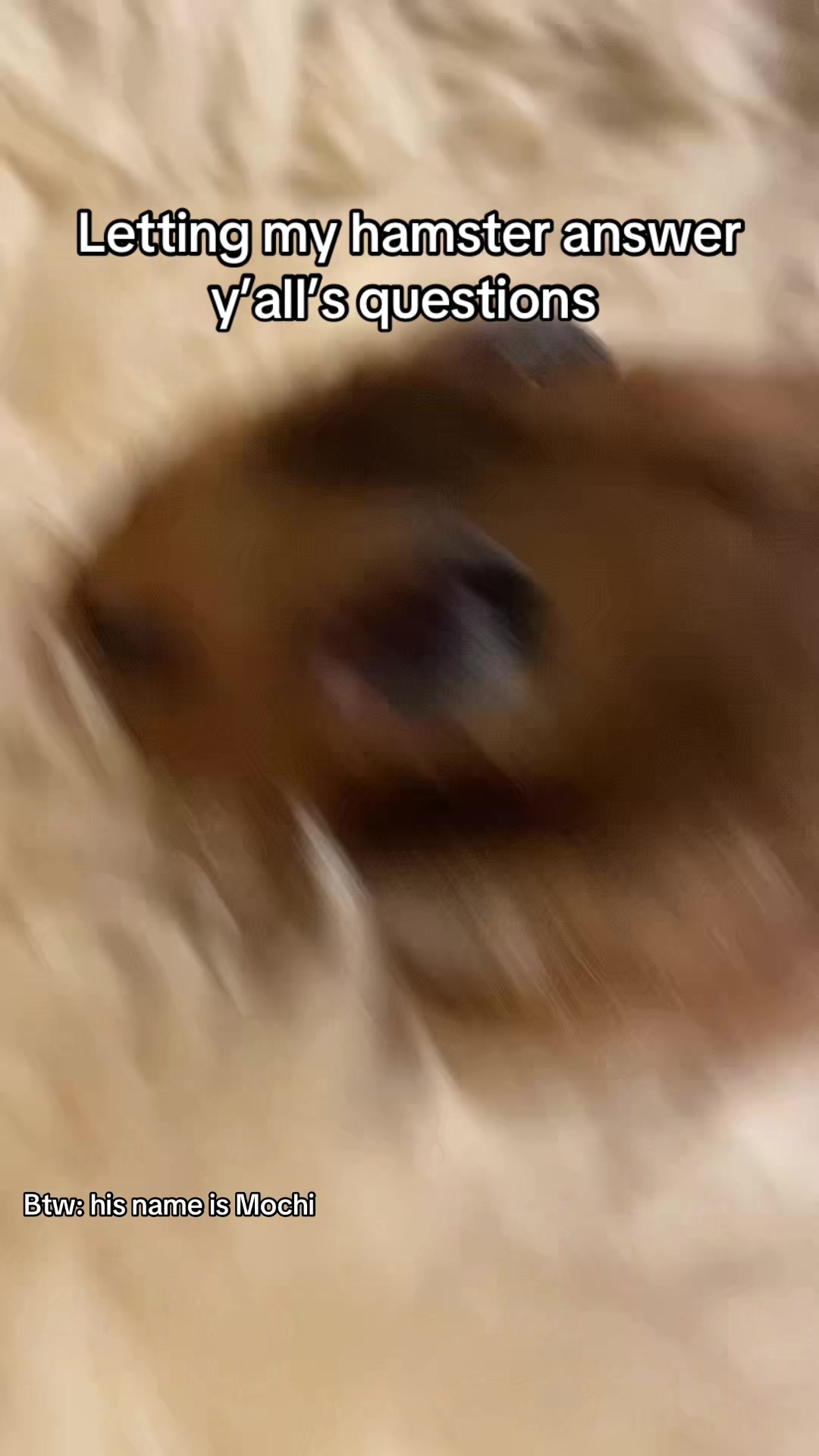 @nottibby