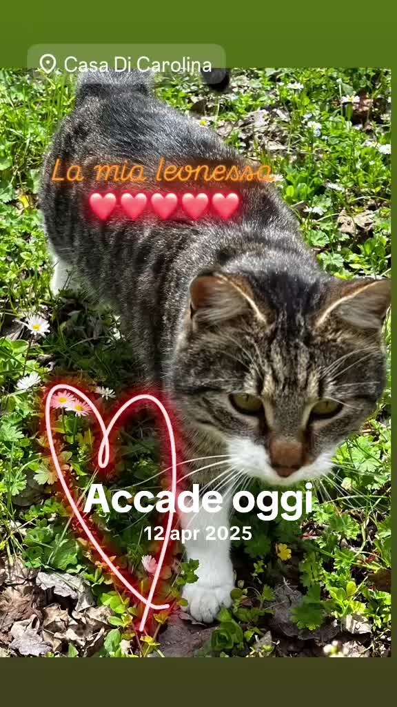 @latemperanzadiruly