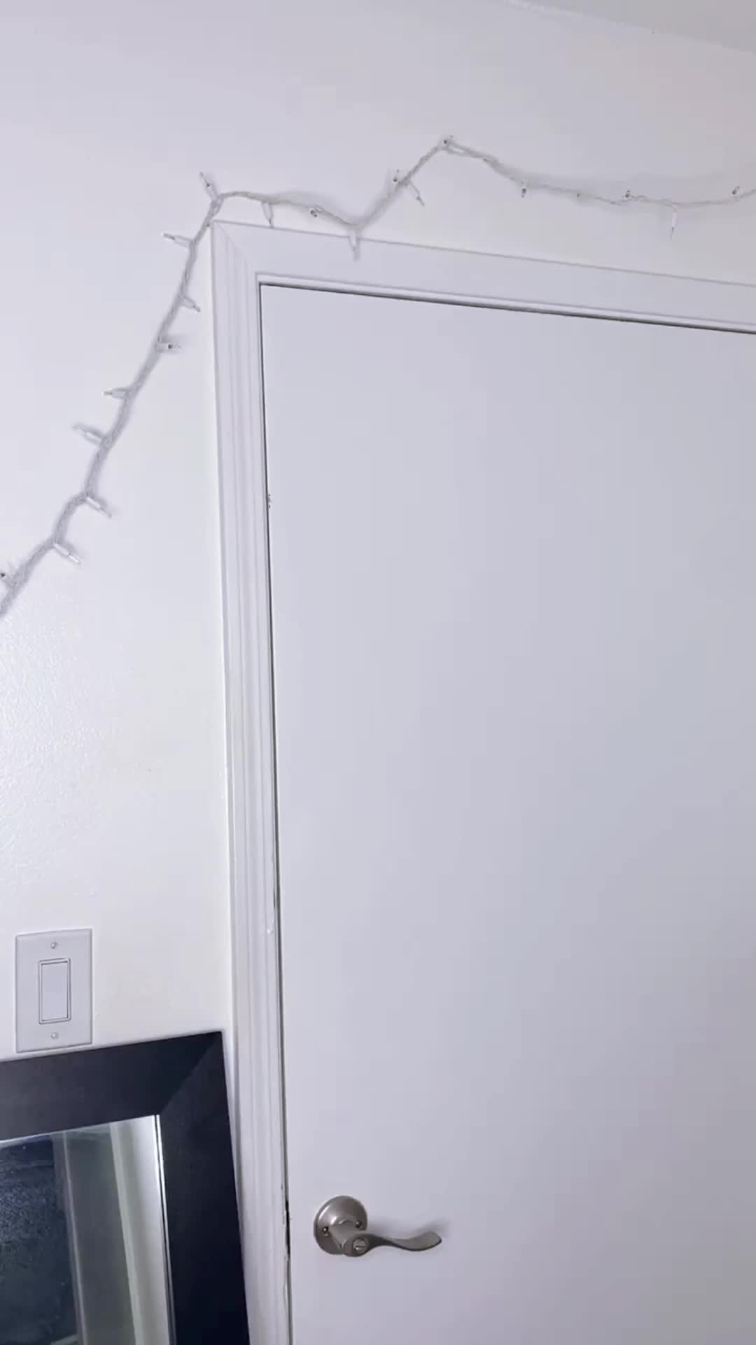 @brooetdg6p8