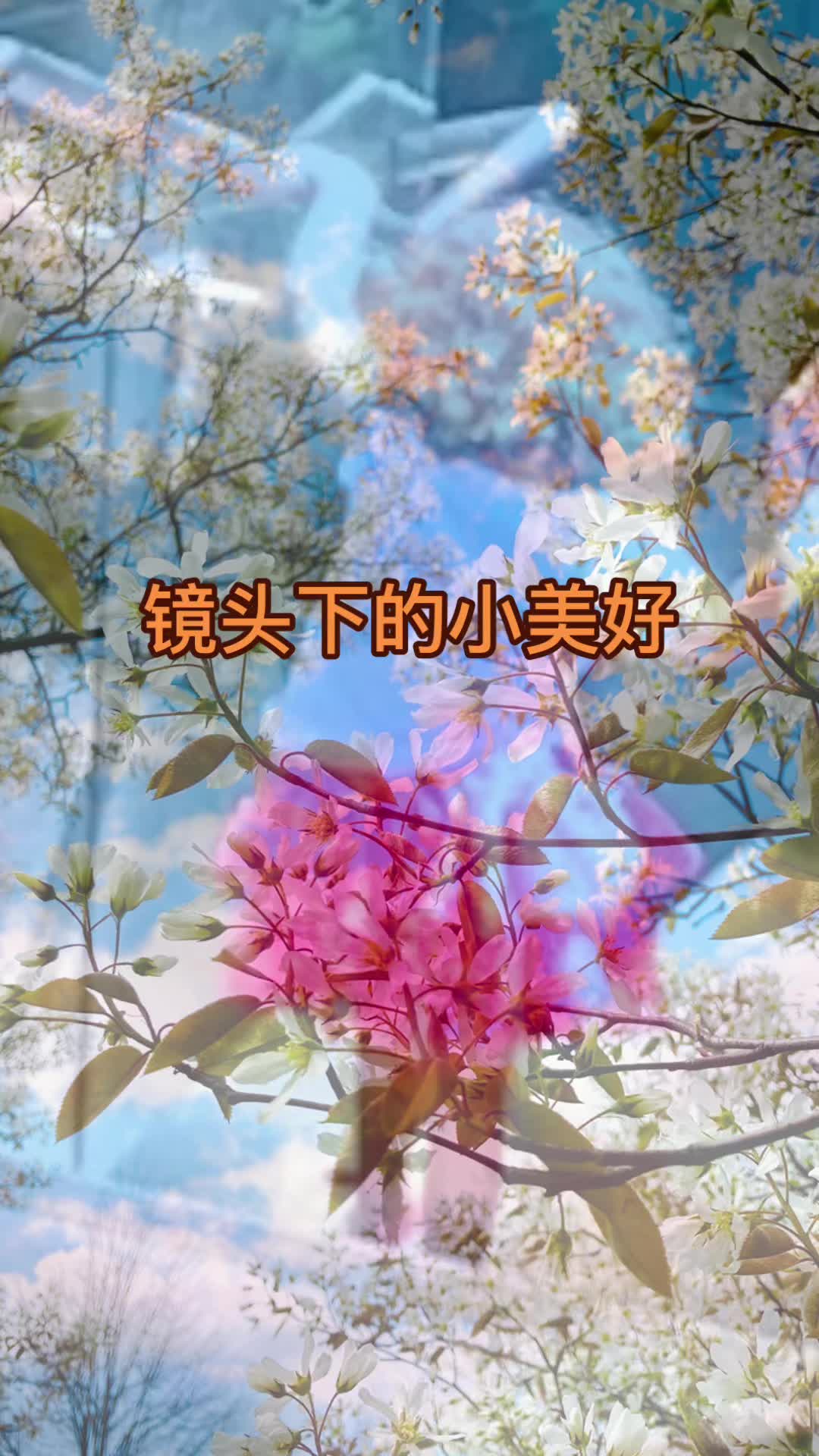 @心飞扬xie💕
