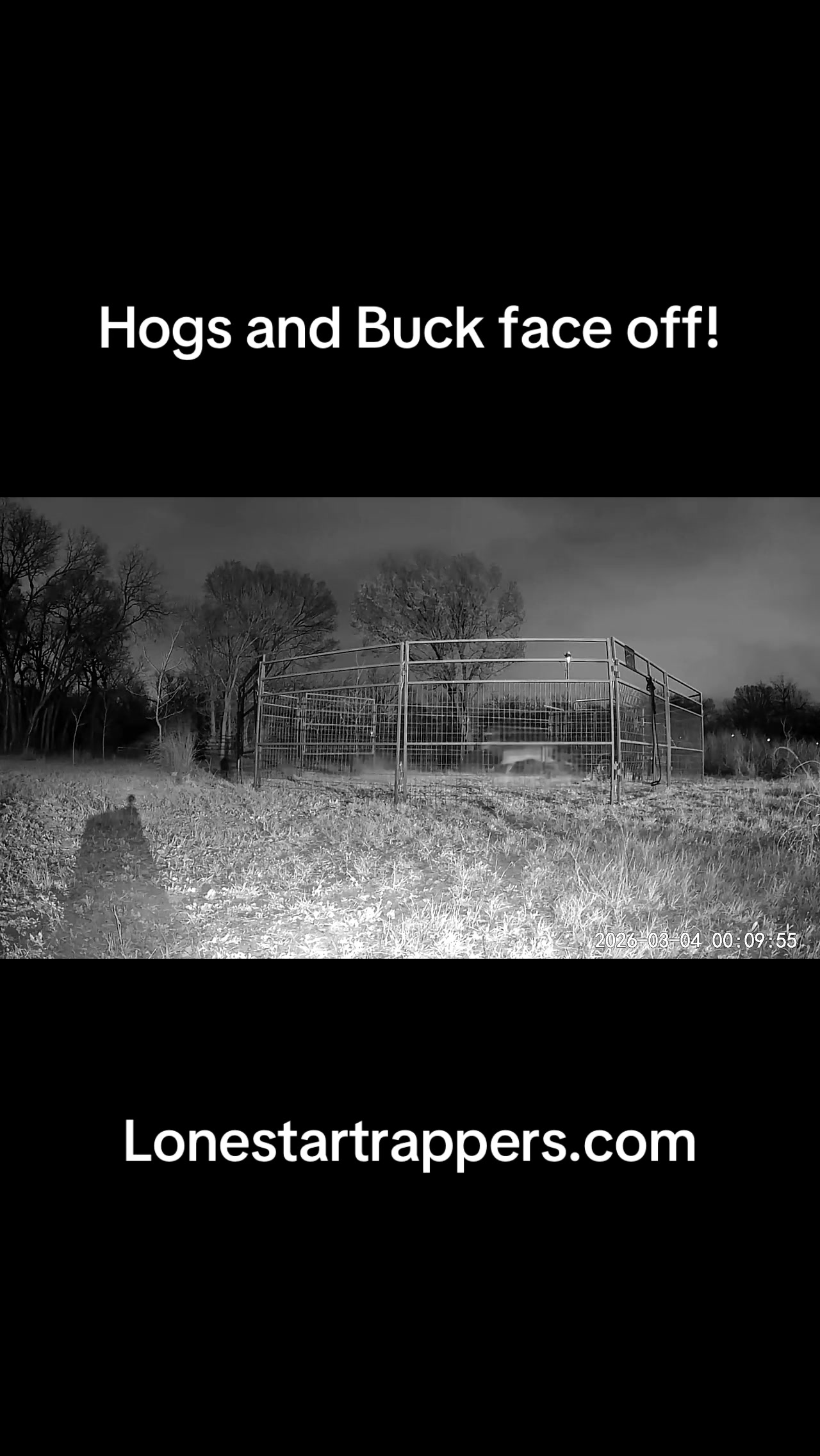 @LoneStarTrappers&Buyers
