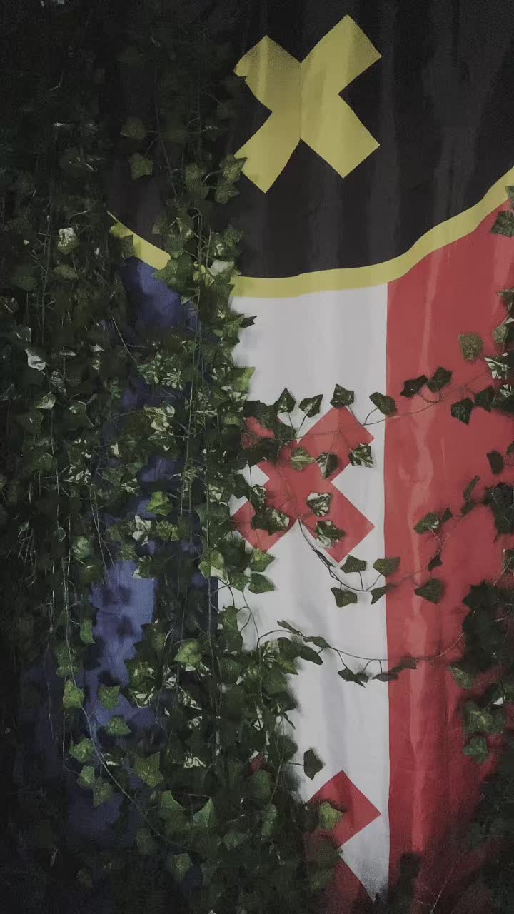 @lostintheforestcos🇵🇹🚦