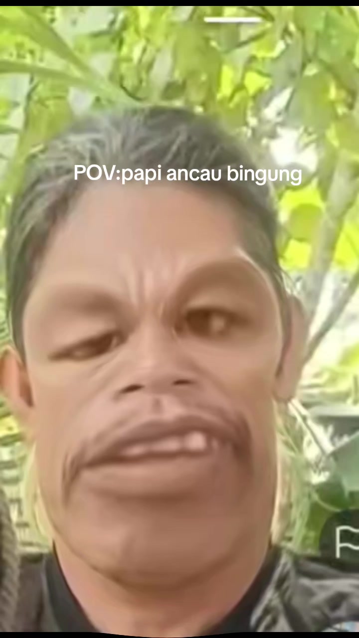 @ACAN hangur
