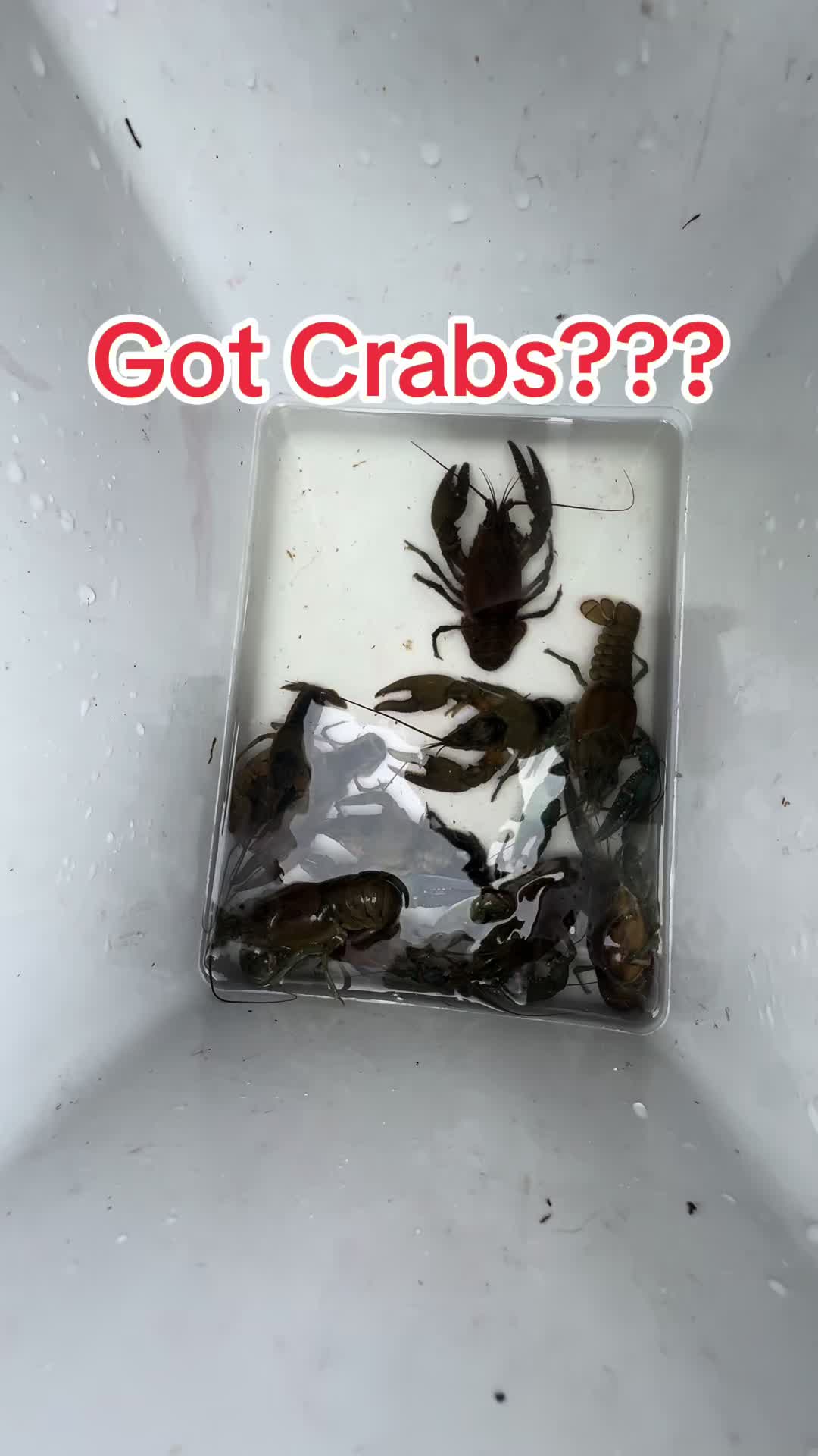 @ChrisFishOutdoors