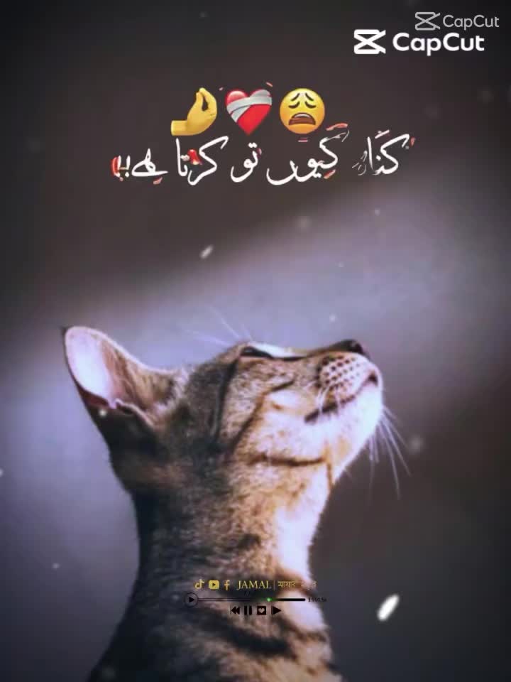 @Majid✅