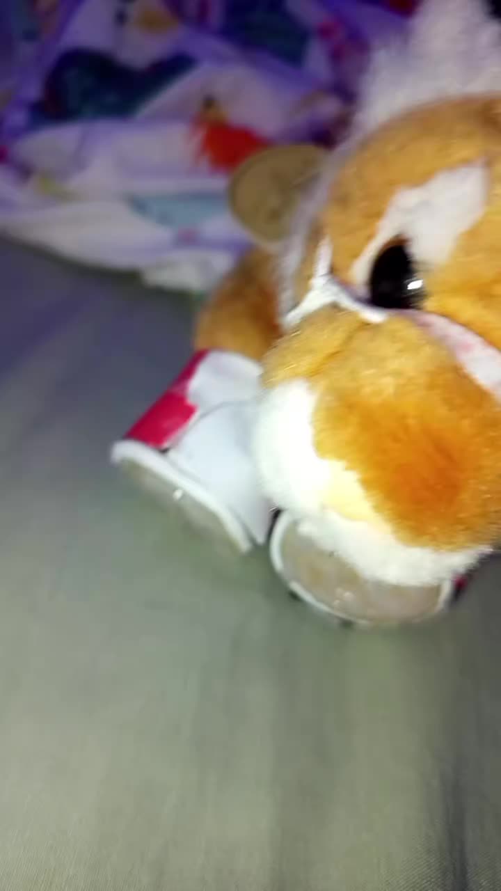 @z икратка