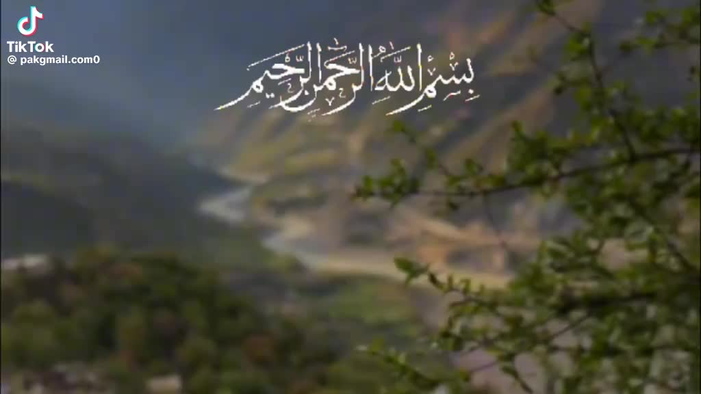 @sultan mahmood