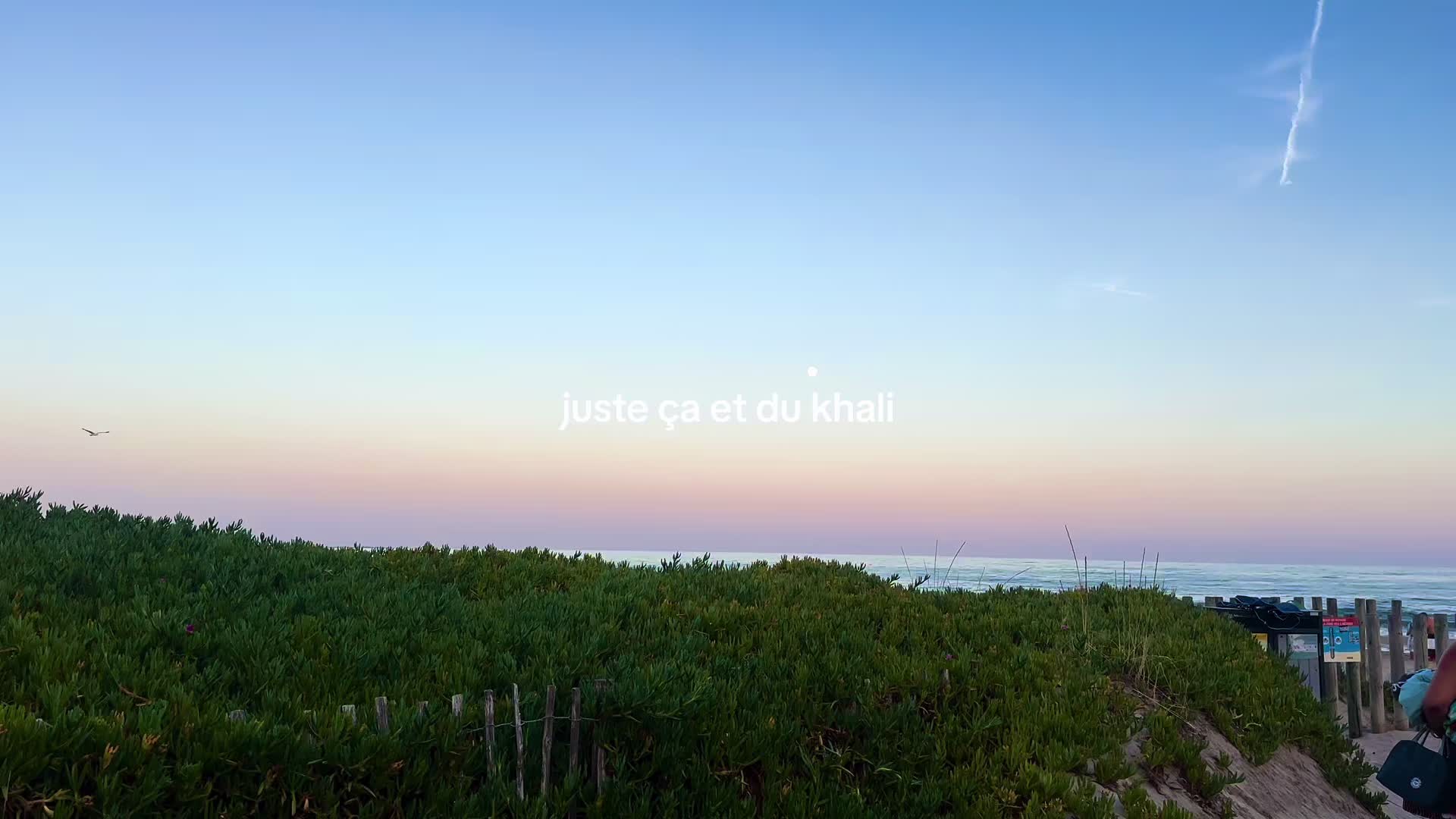 @manon
