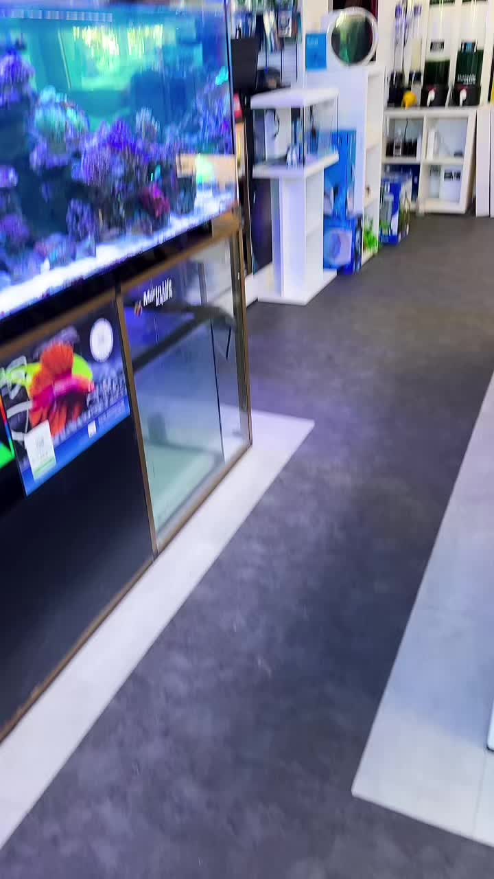 @Polirowdy