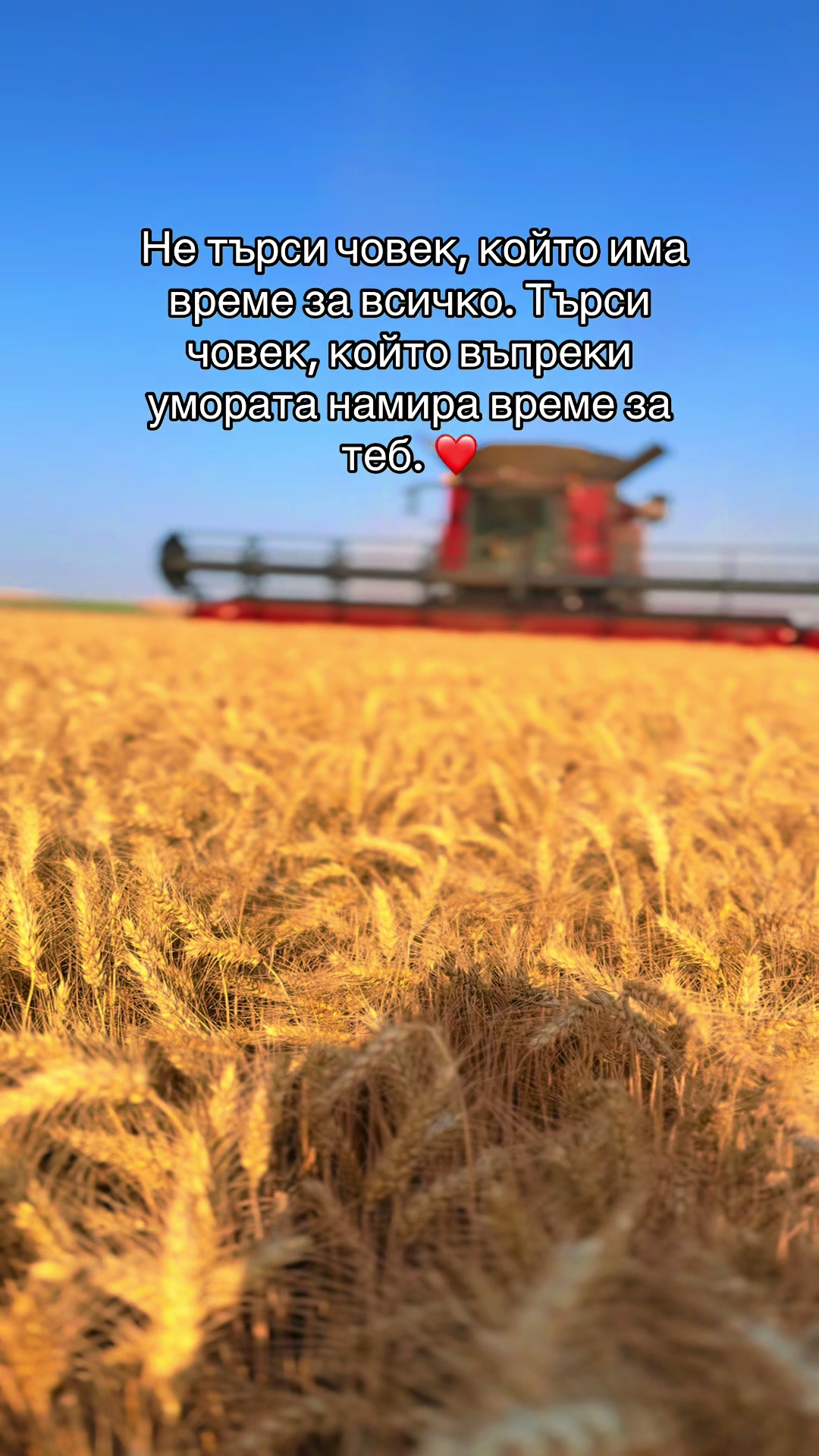 @Микаела Методиева