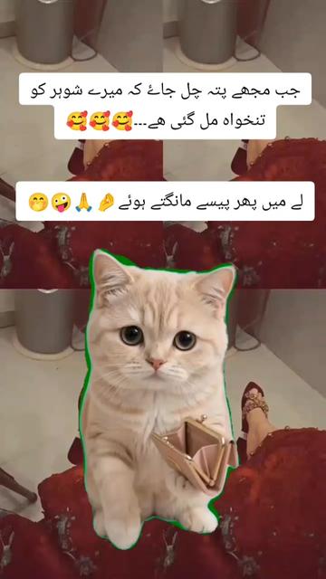 @S𝚝yᄂᵢ𝘴𝓱 Gᵢᵣᄂ❤️||