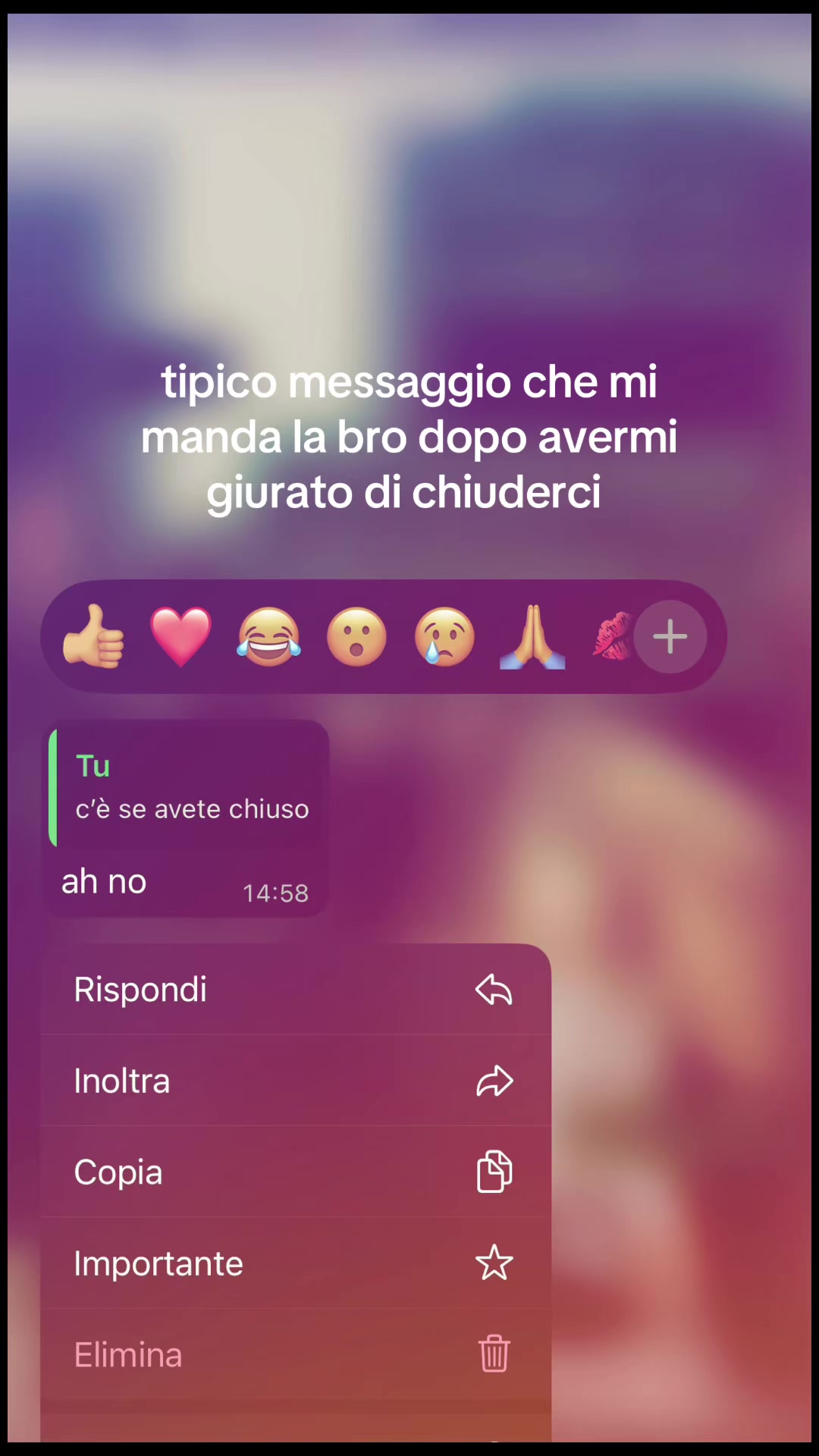 @spammerii._