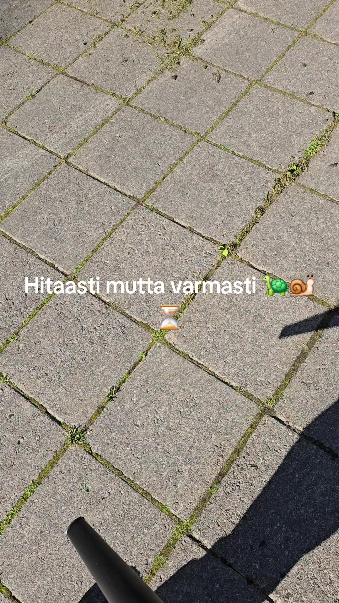 @Seurakuntamestari