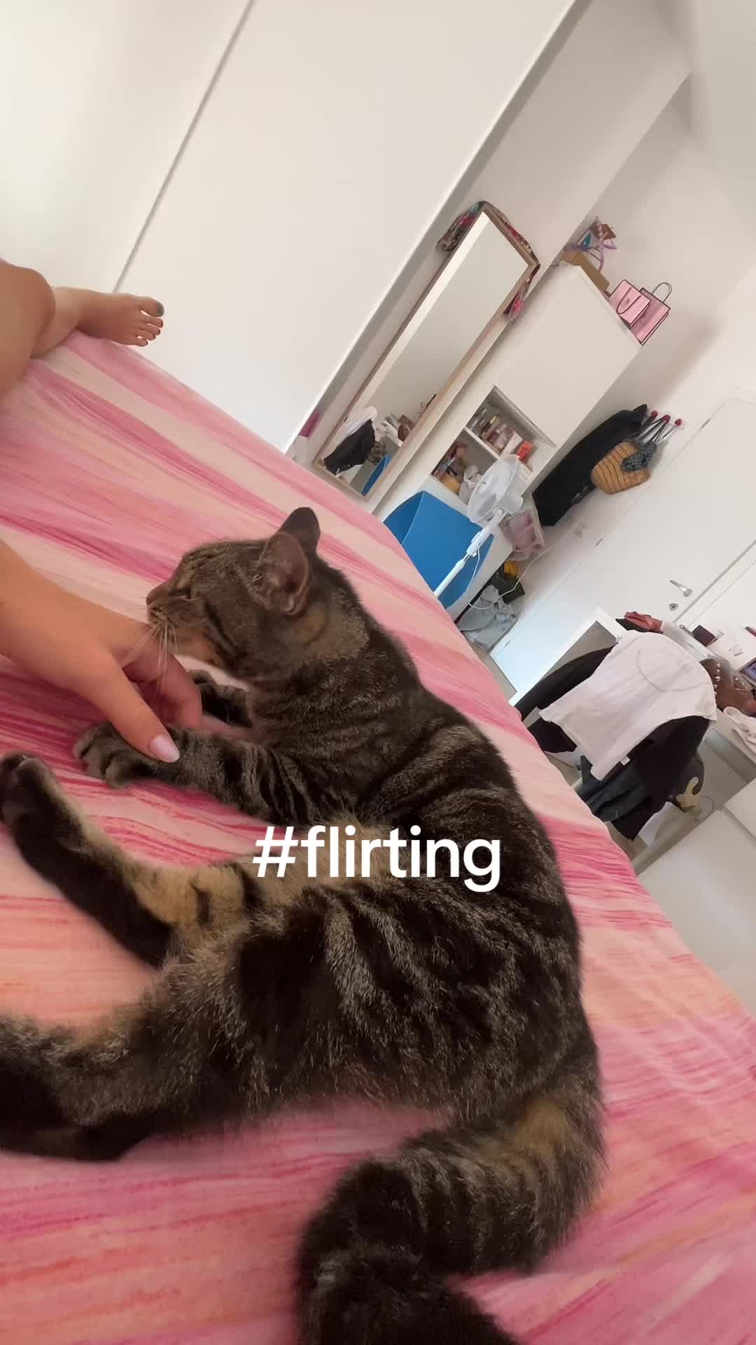 @carlotta.reda