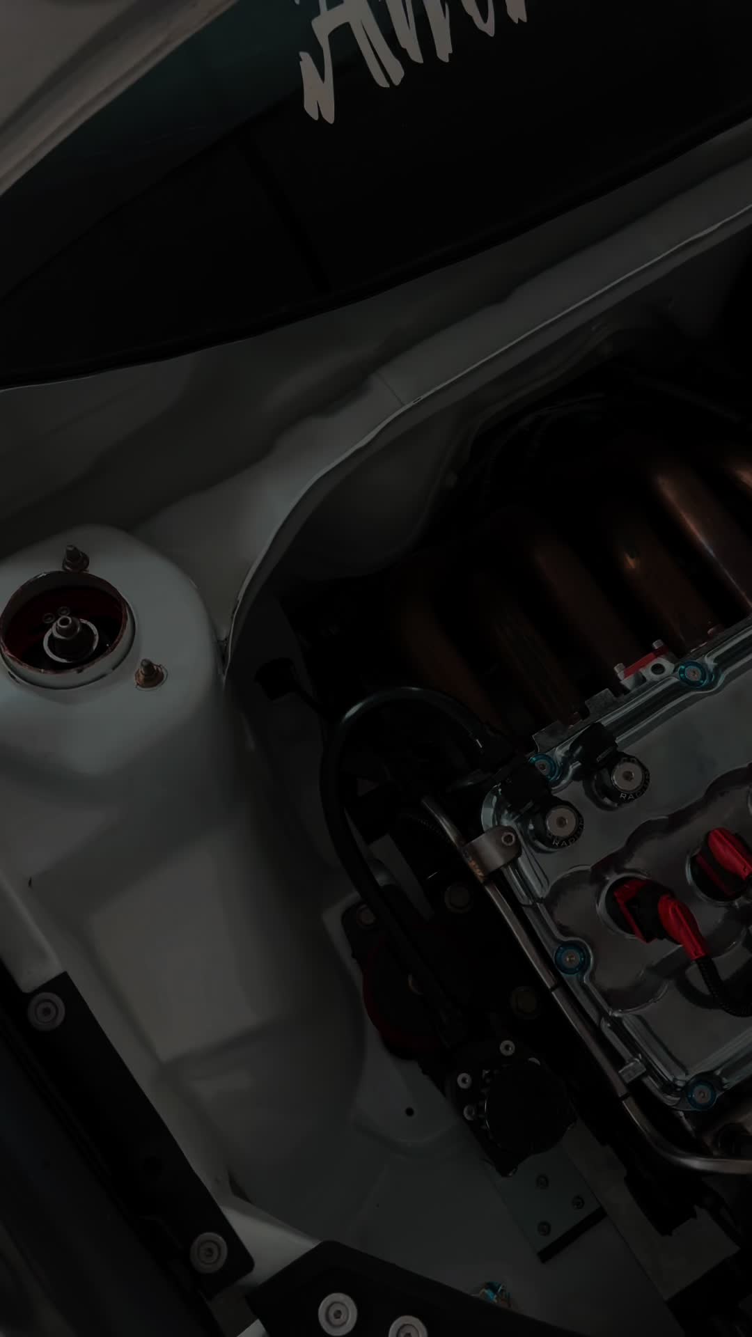 @timv.euromods