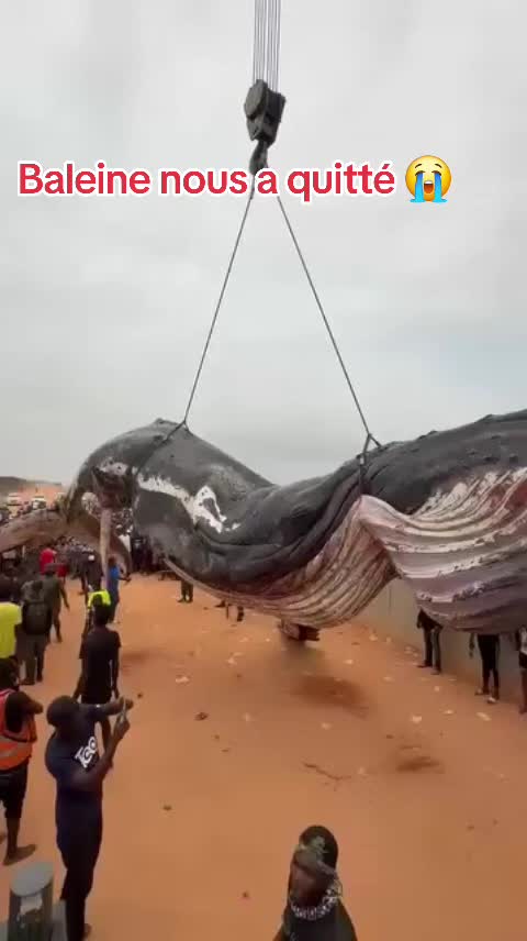 @NADIA_MOKO_BOYE